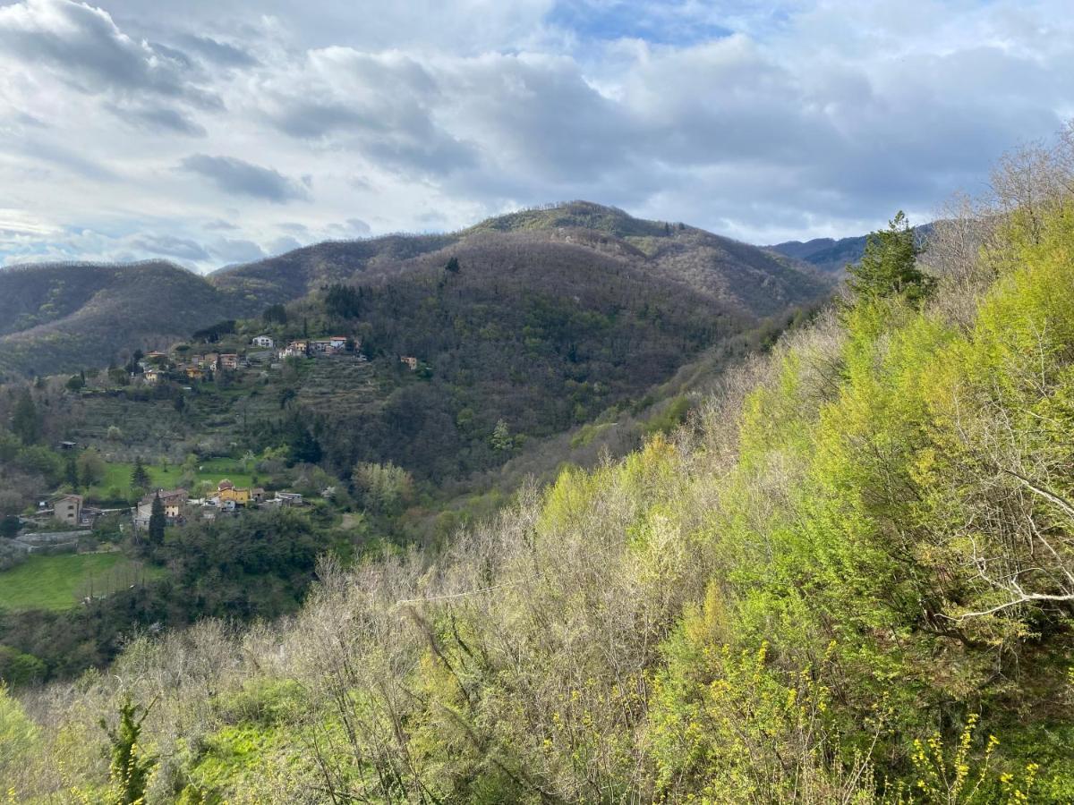 Casa Vacanze Giuliana Villore Екстер'єр фото